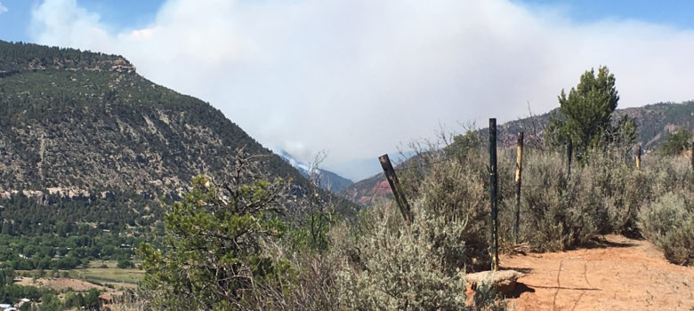 416 Fire Durango Colorado Wildfire